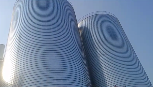 冀州2座混凝土高架卷板仓